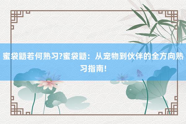 蜜袋鼯若何熟习?蜜袋鼯:从宠物到伙伴的全方向熟习指南!